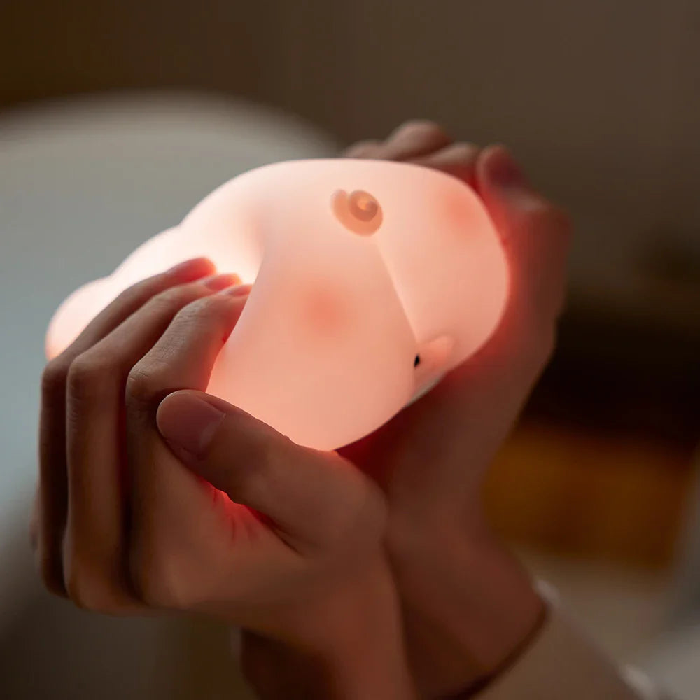 Pink Piggy Soft Light