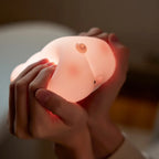 Pink Piggy Soft Light