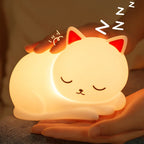 Napping Cat Light