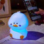 Shy Duck LED Light