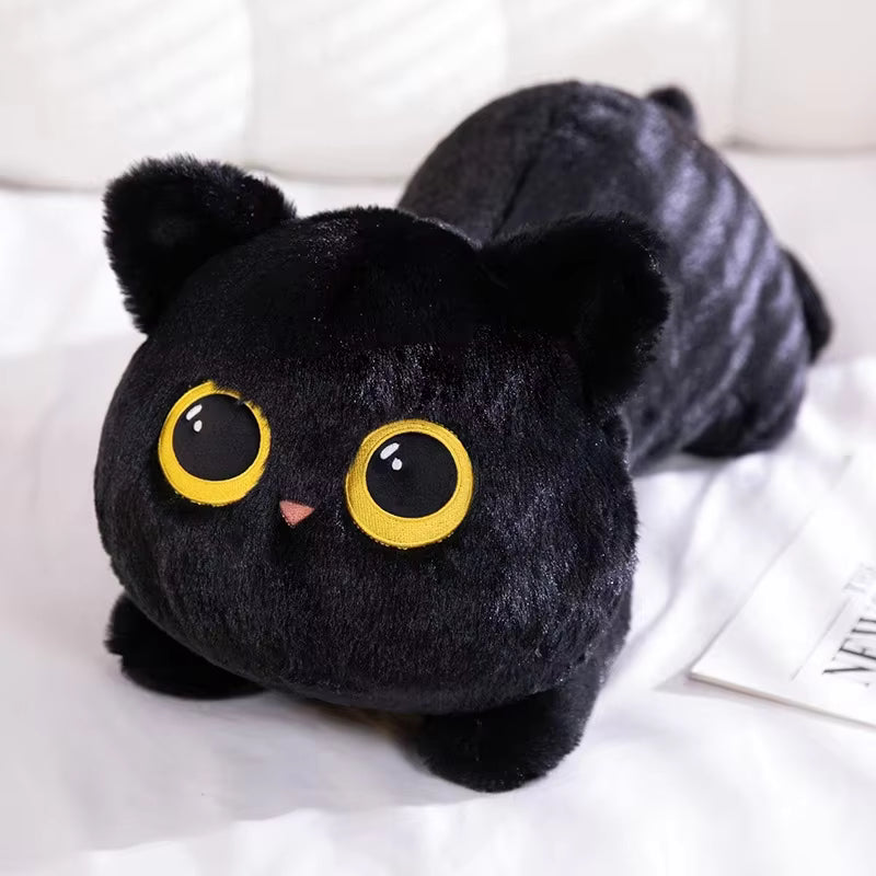 Black Bean Kitty