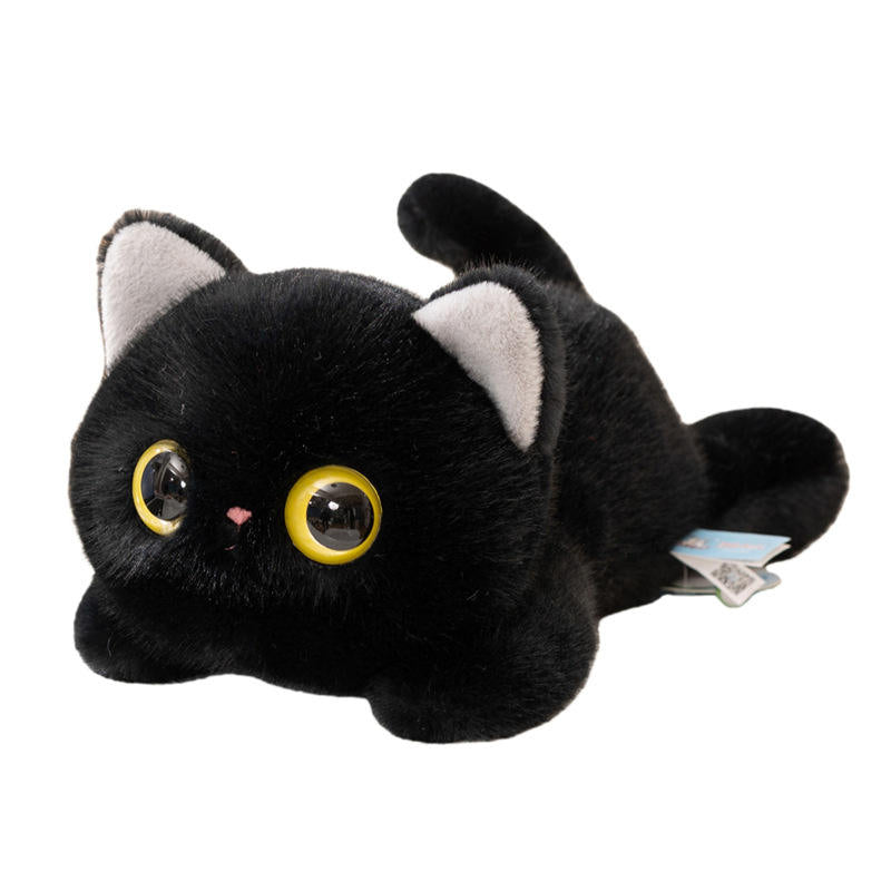 Black Bean Kitty 20cm